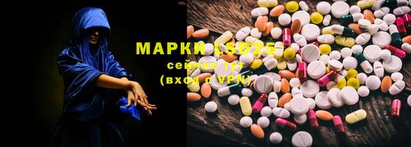 мяу мяу мука Аркадак