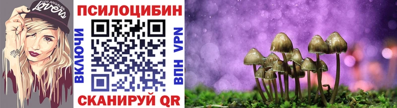Псилоцибиновые грибы Psilocybine cubensis  Сергач 